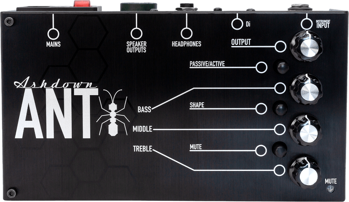 200w bass amp in pedal format