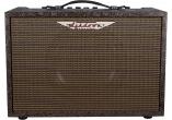 40W Acoustic Combo