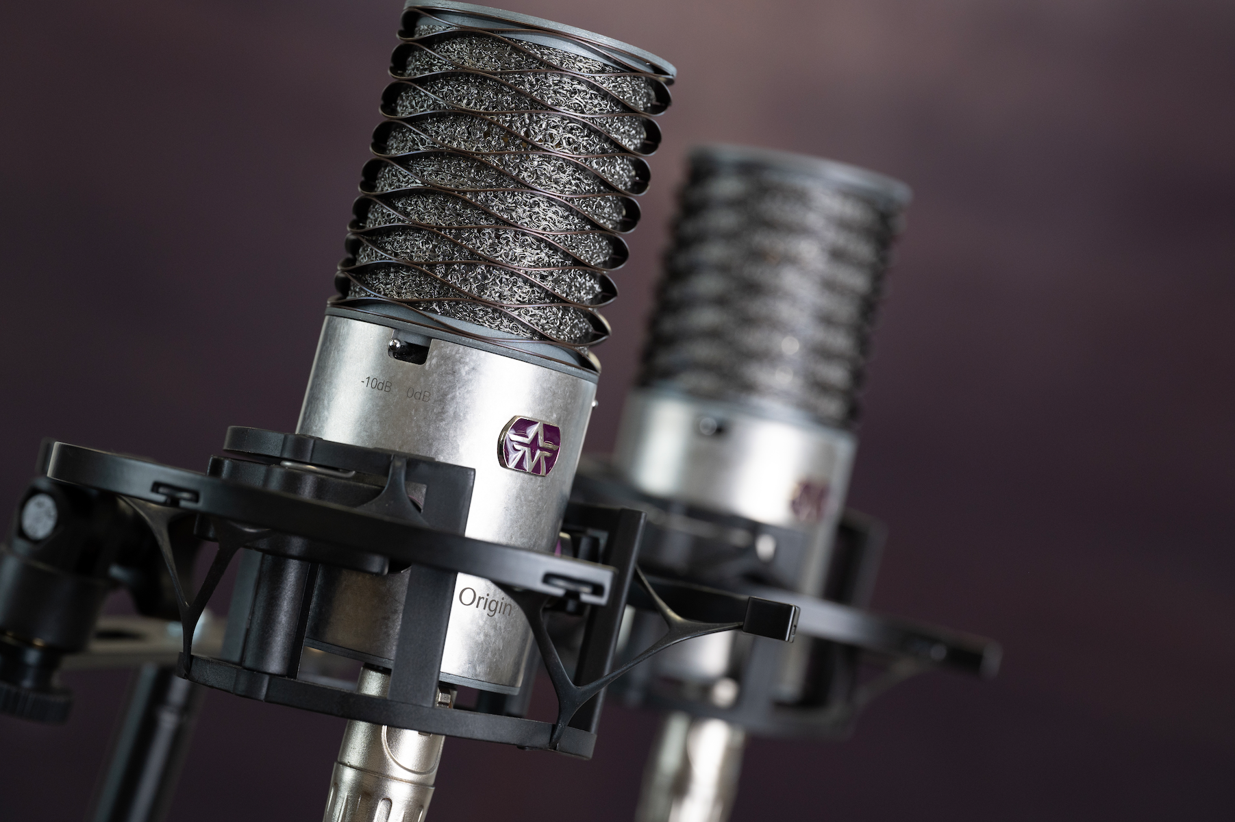 Large diaphragm condenser microphone