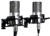 Large diaphragm condenser microphone
