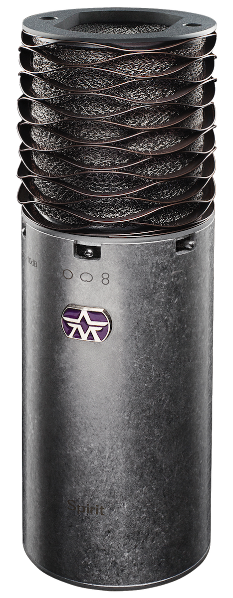 Large Diaphragm Multi- Pattern Condenser Microphone