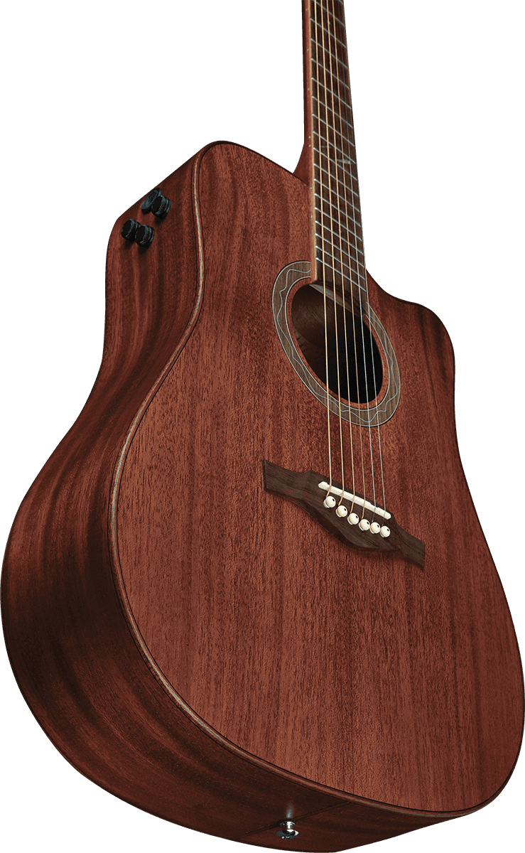 D200CE-AC Dreadnought Fishman Flex