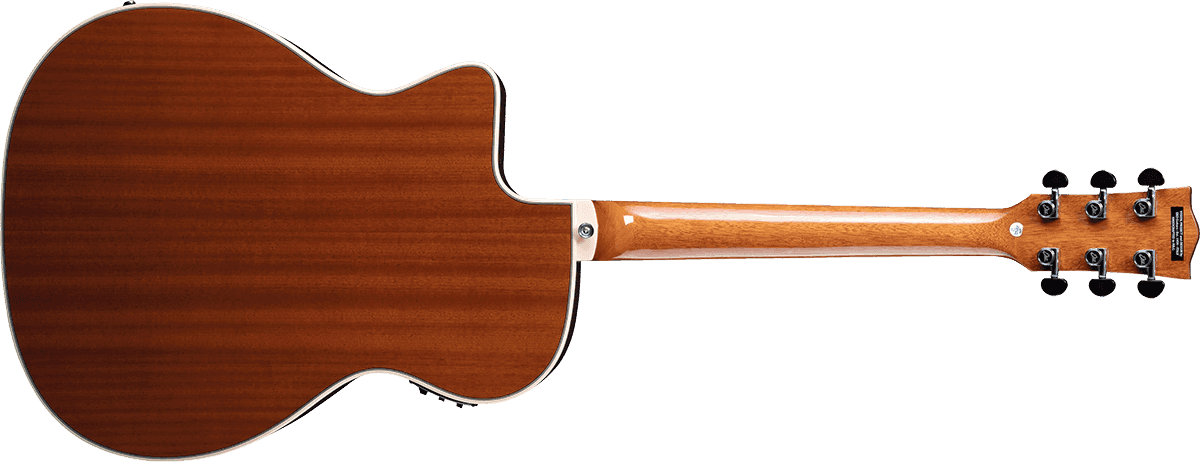 NXT A100CWE Auditorium cutaway Natural left-handed