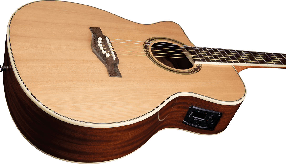 NXT A100CWE Auditorium cutaway Natural left-handed