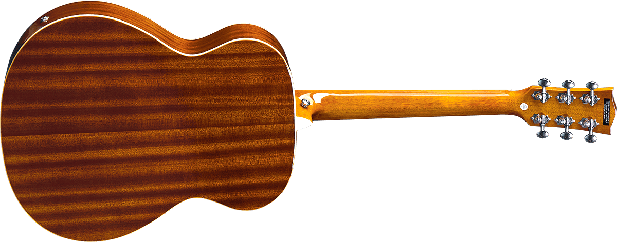 Resonator with pickup