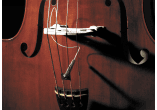 Full Circle Upright Bass 1/4-20 format