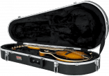 GC-MANDOLIN mandolin case