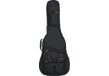 GPX for acoustic guitar