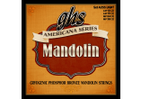 AMERICANA SERIES MANDOLIN - Phosphor Bronze, Light 010-038