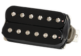 Custombucker (Double Black, 2-conductor)