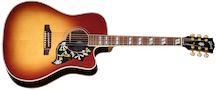 Hummingbird Standard Rosewood EC Rosewood Burst
