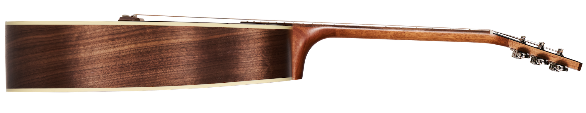 Hummingbird Studio Walnut Natural