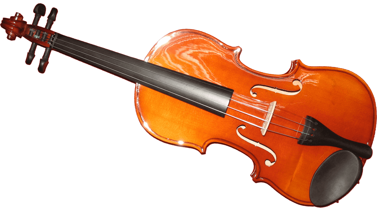Violin 4/4 ebony fingerboard