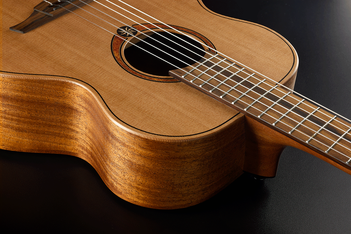 Nylon Red Cedar Electric Acoustic