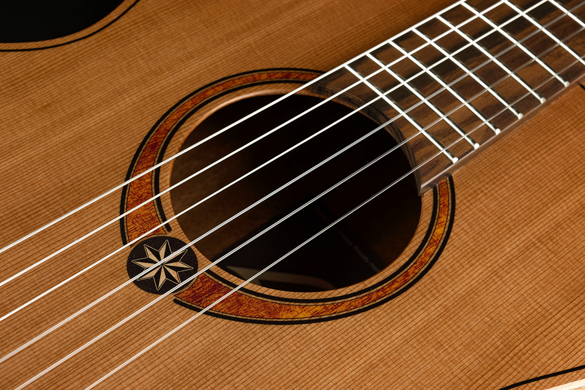 Nylon Red Cedar Electric Acoustic