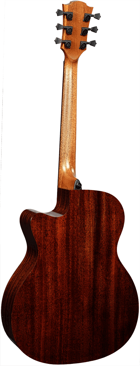 Auditorium cutaway electro brown shadow