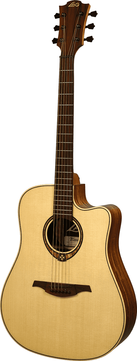 Dreadnought cutaway electro