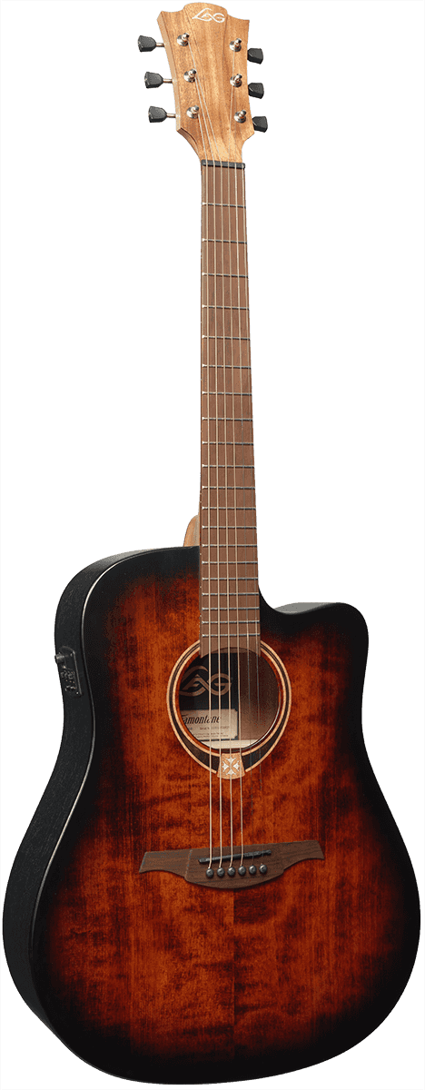 Dreadnought Cutaway Electro Black & Brown