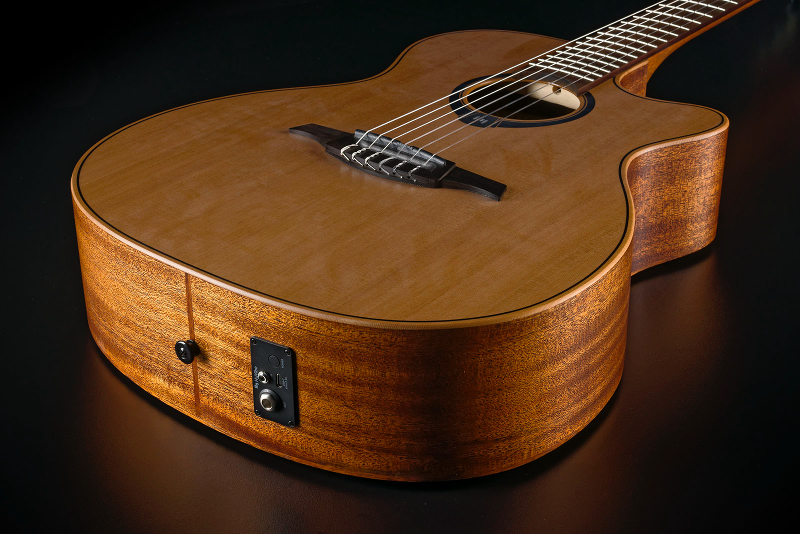 HyVibe 10 Nylon Auditorium Cutaway Satin