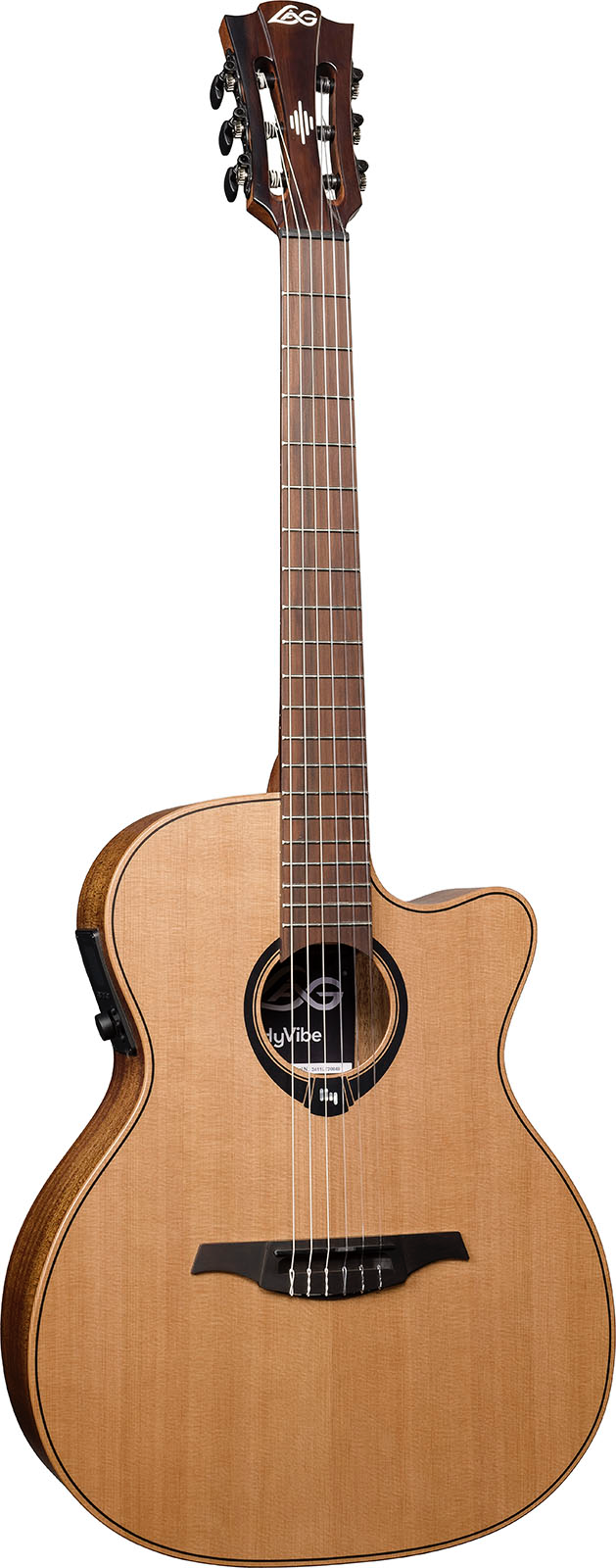 HyVibe 10 Nylon Auditorium Cutaway Satin