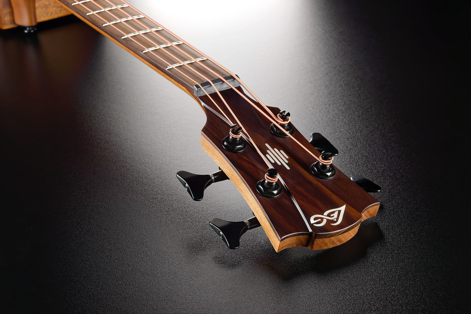 HyVibe 10 Acoustic Bass Cutaway Satin