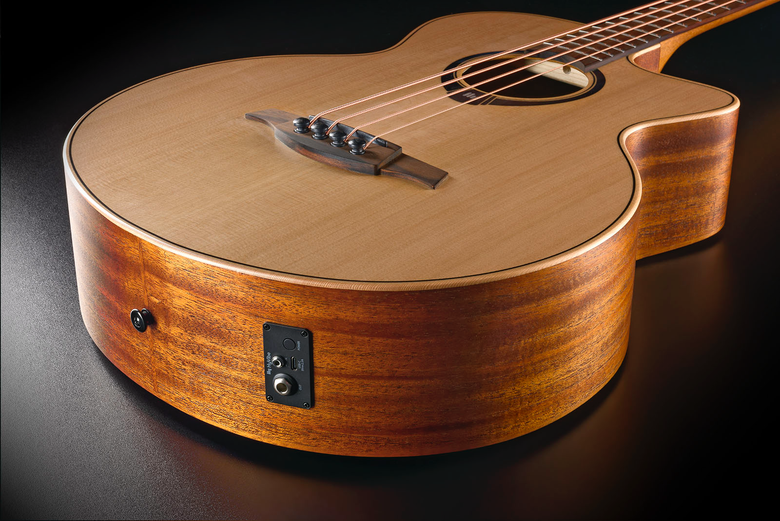 HyVibe 10 Acoustic Bass Cutaway Satin