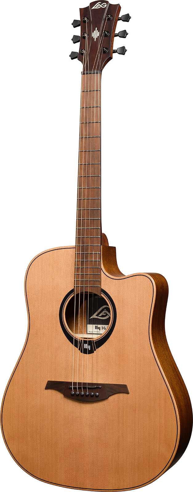 HyVibe 10 Dreadnought Cutaway Satin