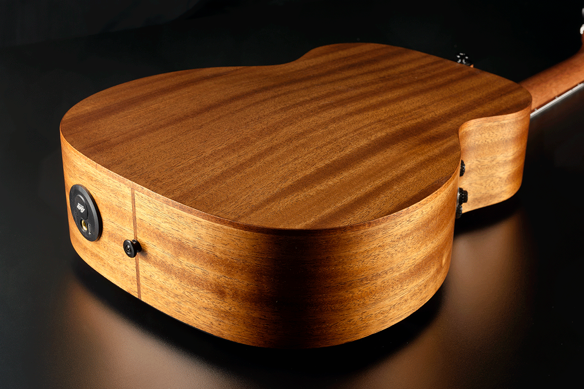 BlueWave 1 Nylon Travel Acoustic Electric