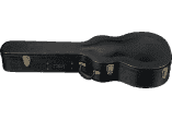 Auditorium Hard Case