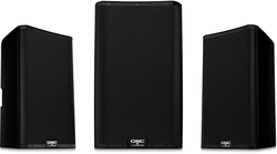 Powered 12-inch 2-way