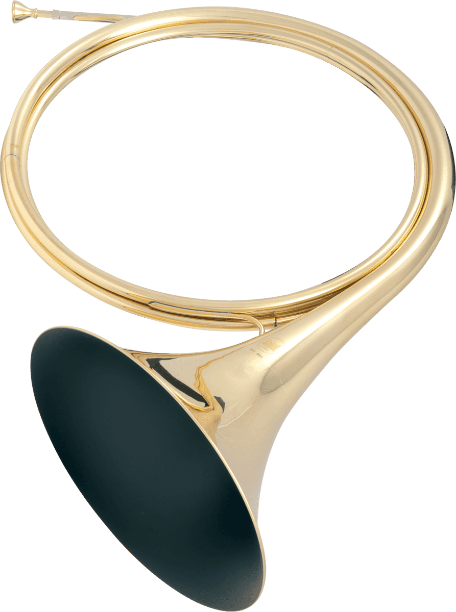 D, D trumpet, Lacquered brass