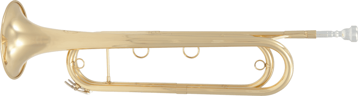 Eb, Lacquered brass