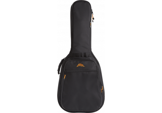 Acoustic Guitar Bag