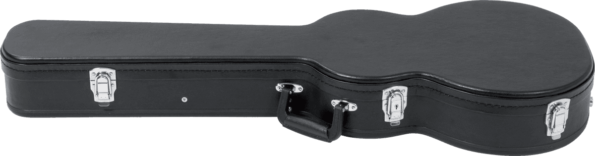 Hardcase for LP Guitar