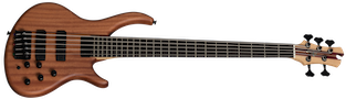 Killer B V (5-String Bass Incl. Premium Gig Bag) Satin Natural