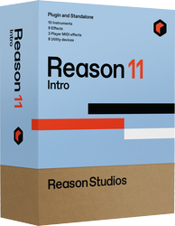 REASON11-INTRO-BOX